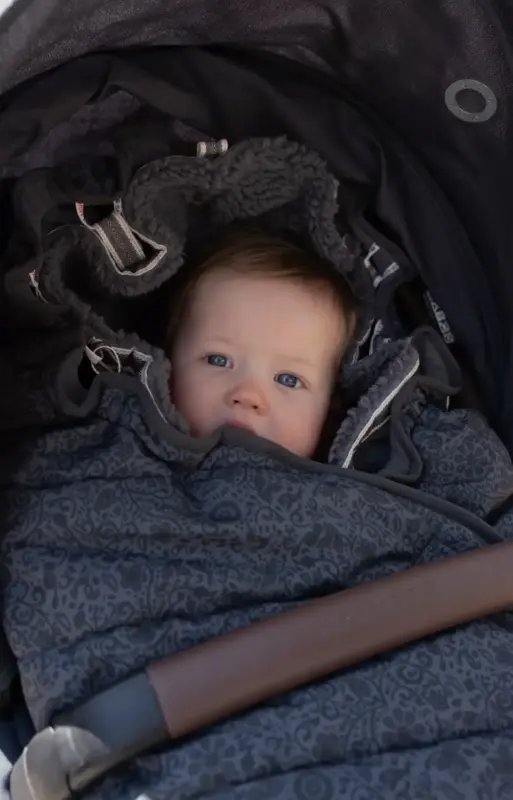 Guļammaiss bērnu ratiem Lodger Bunker Folklore Pigeon ar bernu