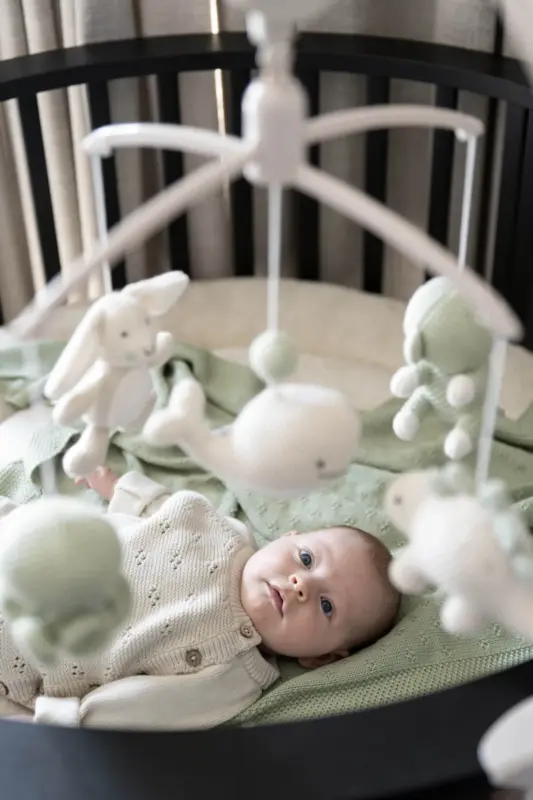 Muzikālais karuselis Dzīvnieki, Laurel green, Babys only 1012864