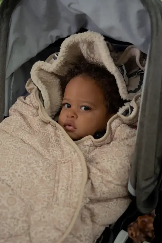 Guļammaiss bērnu ratiem Lodger Bunker Folklore Birch ar bērnu