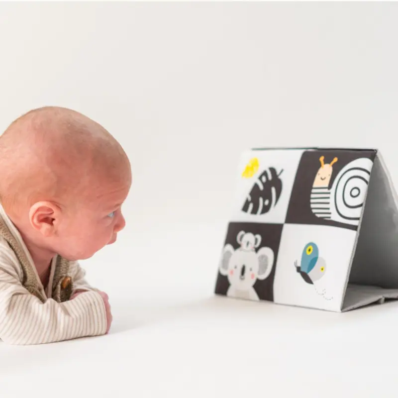 Taf Toys Tummy Time mīkstā grāmatiņa ar spoguli ar mazuli