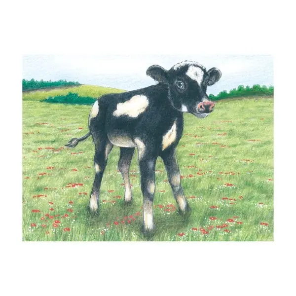 Puzle, 9 kubi, 57607, Goki - Image 6