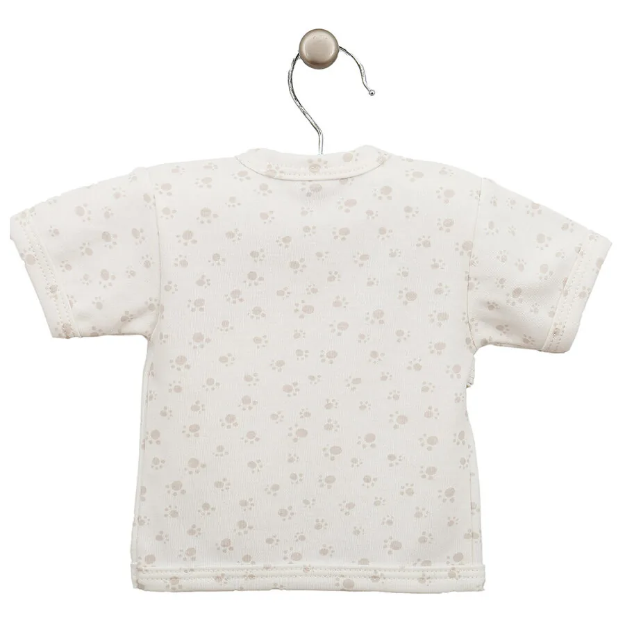 Krekliņš, 1811, 56cm, Lorita - Image 3