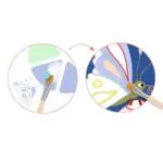 Djeco Krāsošana ar paletēm - Rāpojošie dzīvnieki 1